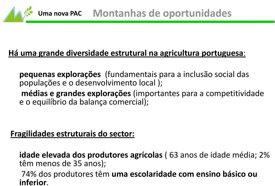 competitividade e o equilíbrio da balança comercial); Fragilidades estruturais do sector: idade elevada dos