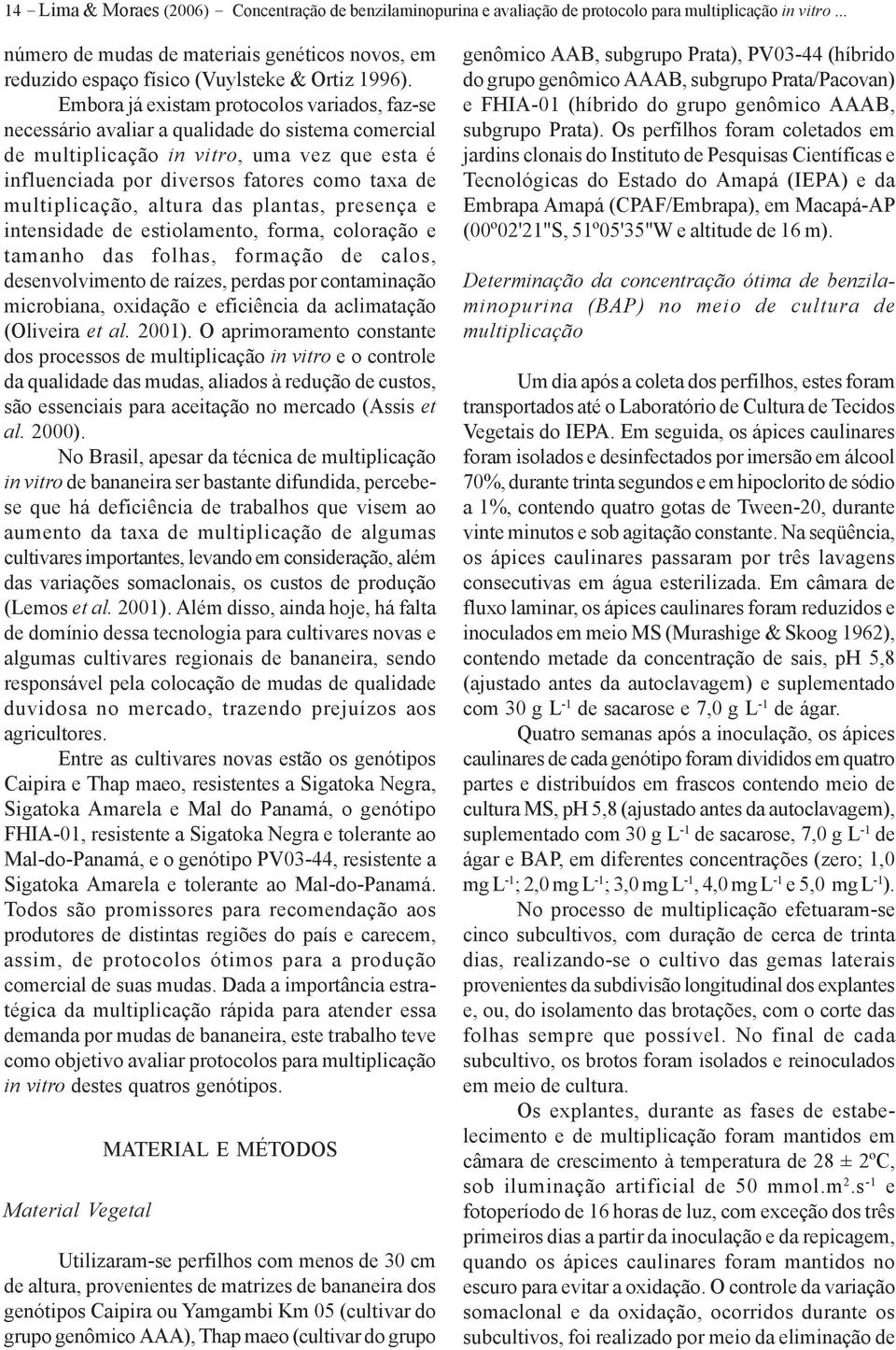 Embora já existam protocolos variados, faz-se necessário avaliar a qualidade do sistema comercial de multiplicação in vitro, uma vez que esta é influenciada por diversos fatores como taxa de