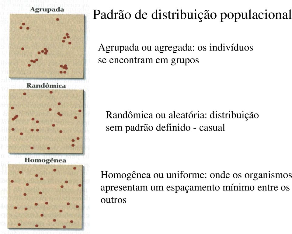 distribuição sem padrão definido - casual Homogênea ou