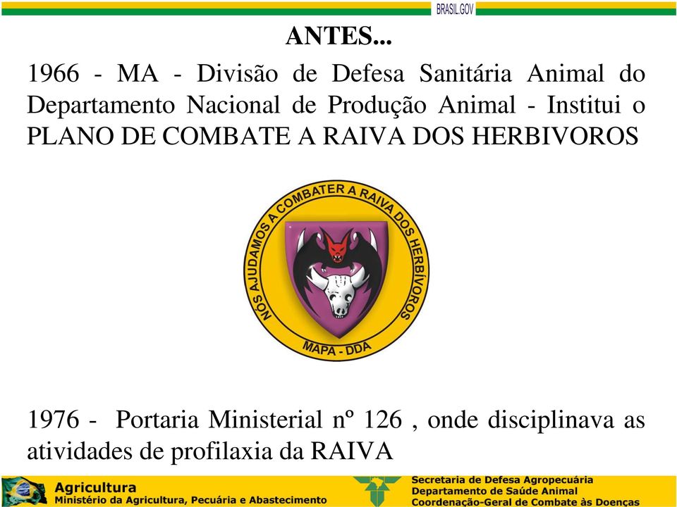 Departamento Nacional de Produção Animal - Institui o PLANO