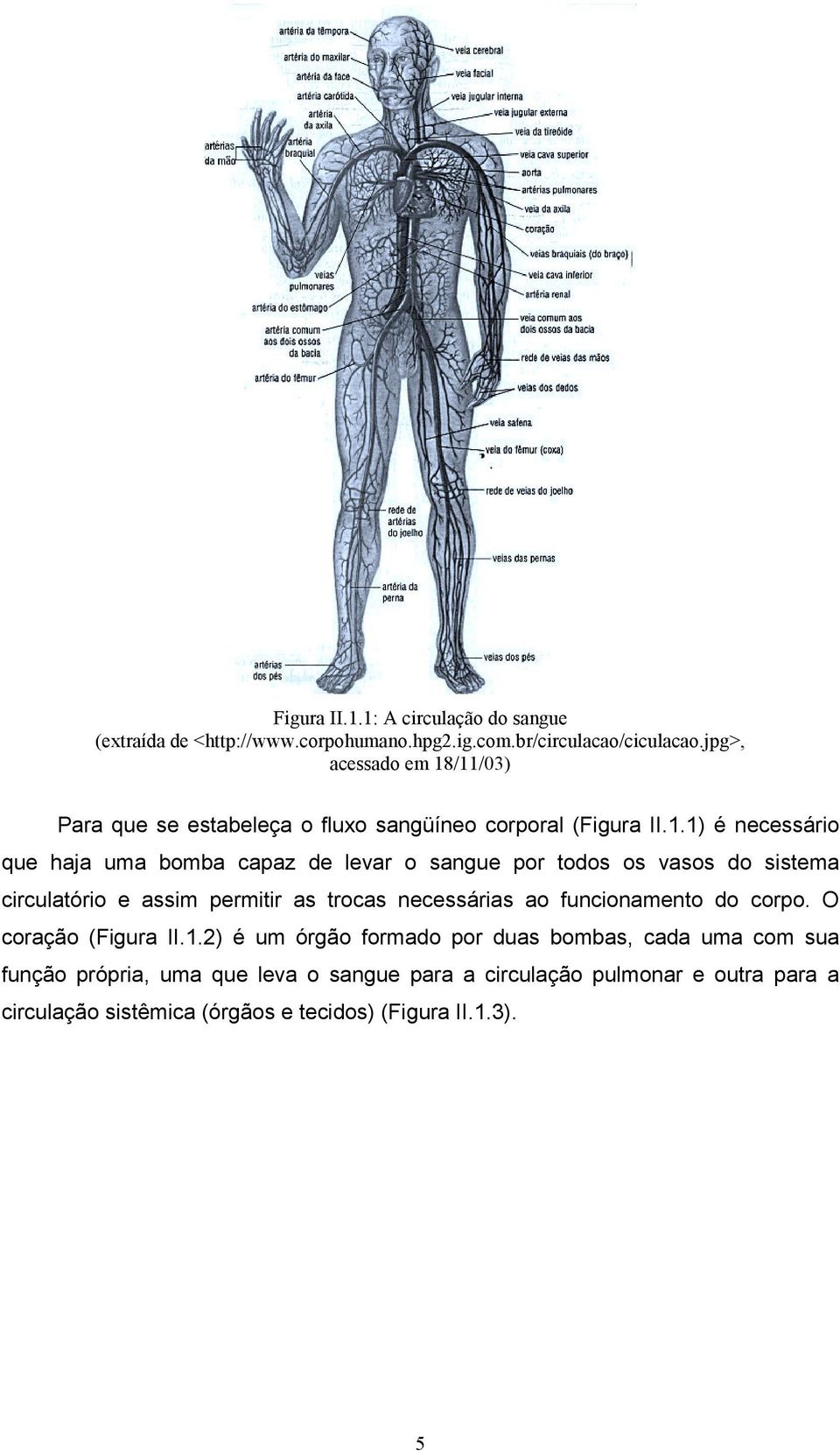 /11/03) Para que se estabeleça o fluxo sangüíneo corporal (Figura II.1.1) é necessário que haja uma bomba capaz de levar o sangue por todos os