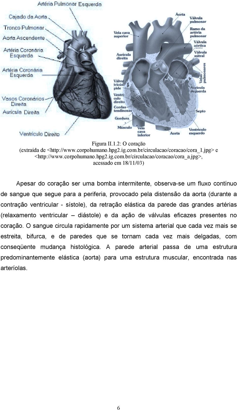 ventricular - sístole), da retração elástica da parede das grandes artérias (relaxamento ventricular diástole) e da ação de válvulas eficazes presentes no coração.