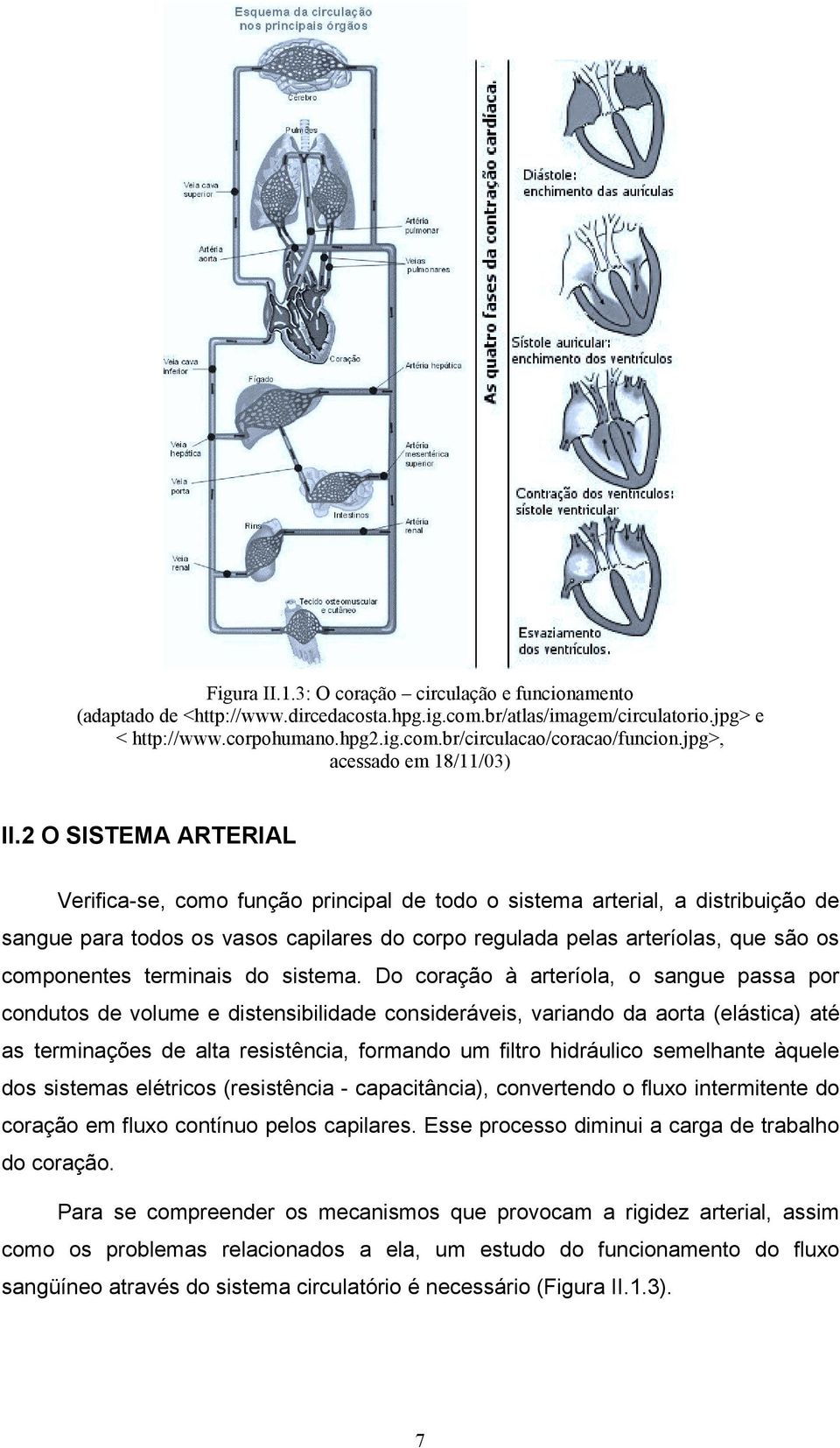 2 O SISTEMA ARTERIAL Verifica-se, como função principal de todo o sistema arterial, a distribuição de sangue para todos os vasos capilares do corpo regulada pelas arteríolas, que são os componentes