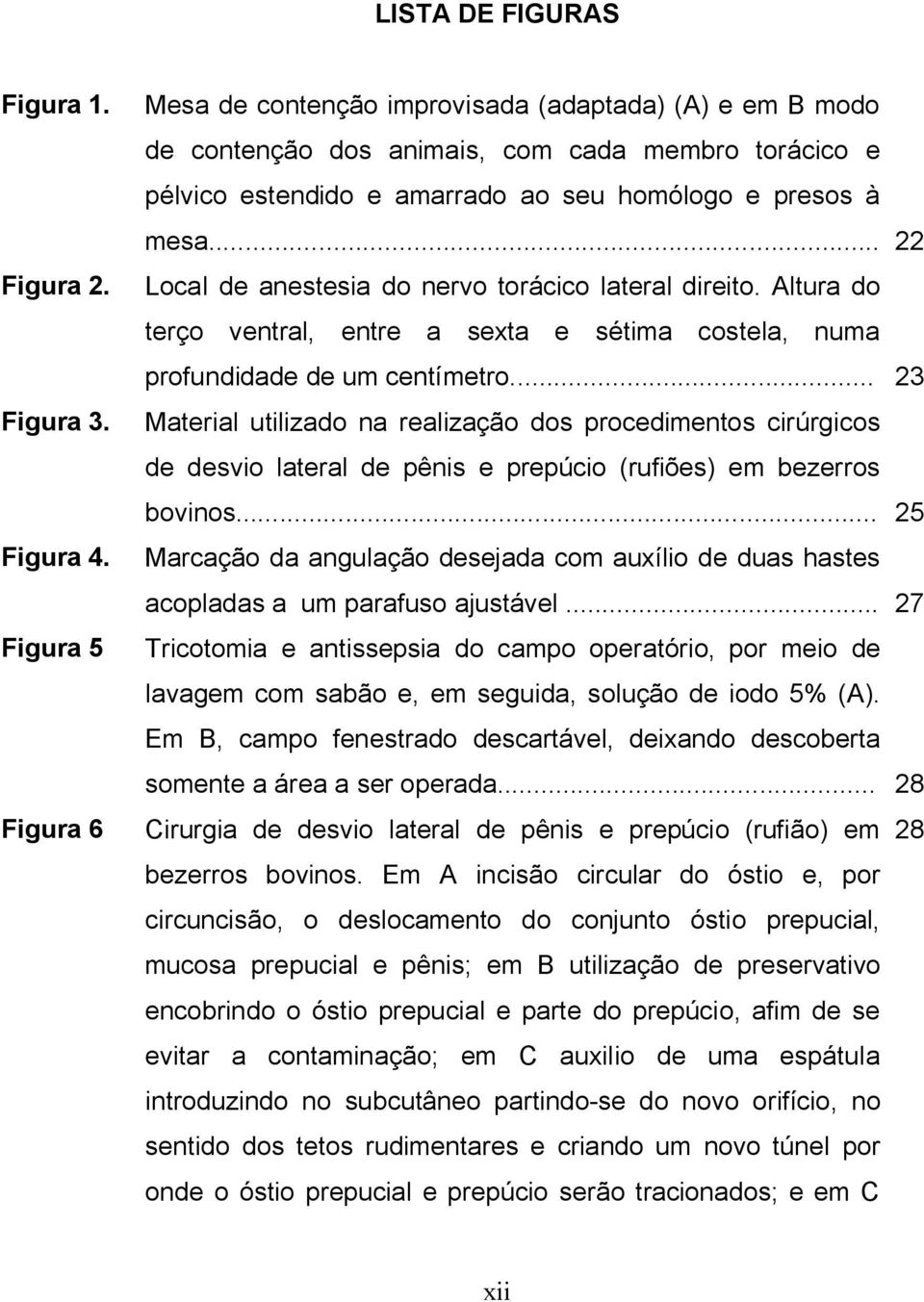 .. 22 Local de anestesia do nervo torácico lateral direito. Altura do terço ventral, entre a sexta e sétima costela, numa profundidade de um centímetro.