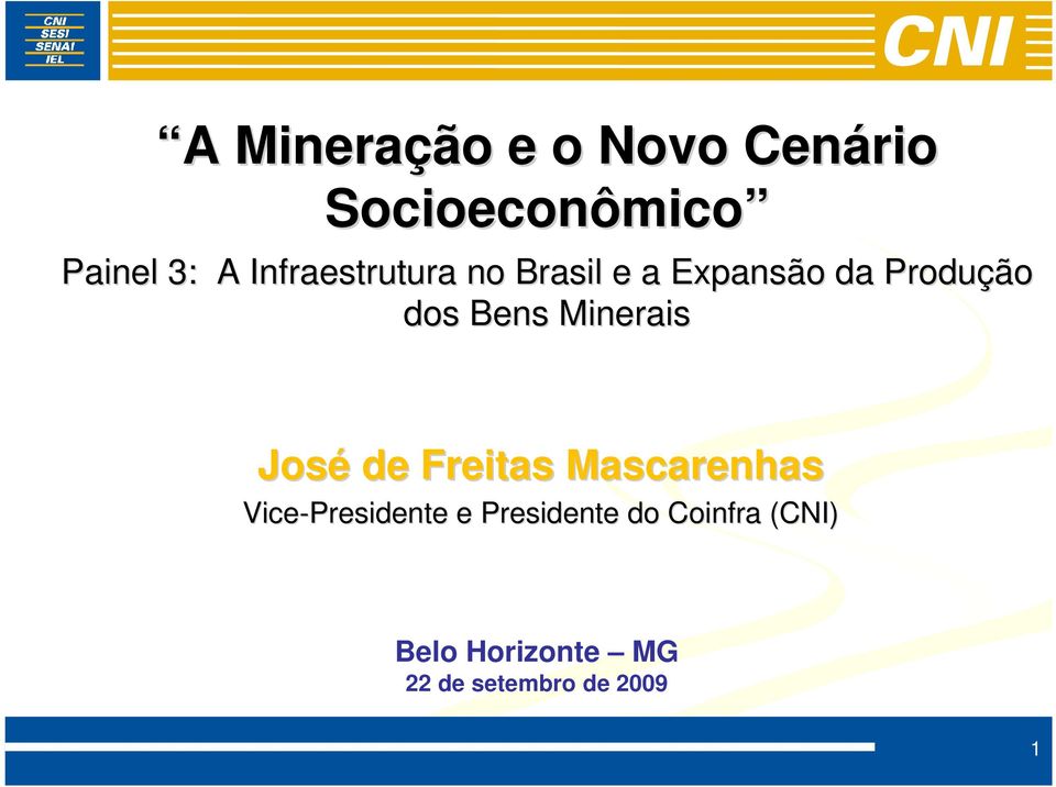 Minerais José de Freitas Mascarenhas Vice-Presidente e