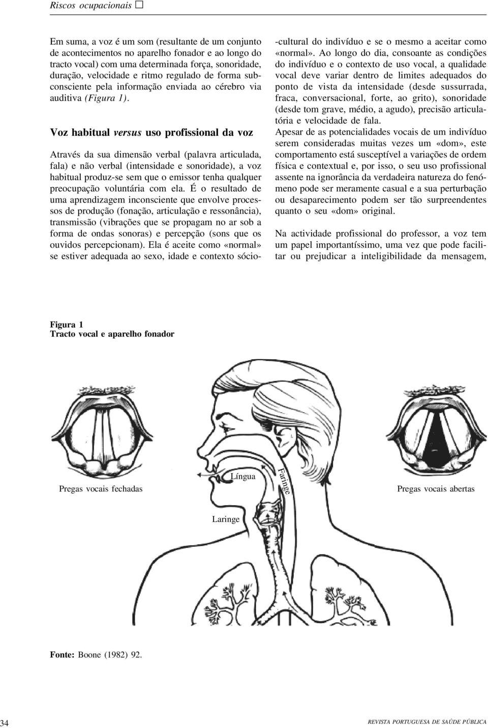 Voz habitual versus uso profissional da voz Através da sua dimensão verbal (palavra articulada, fala) e não verbal (intensidade e sonoridade), a voz habitual produz-se sem que o emissor tenha