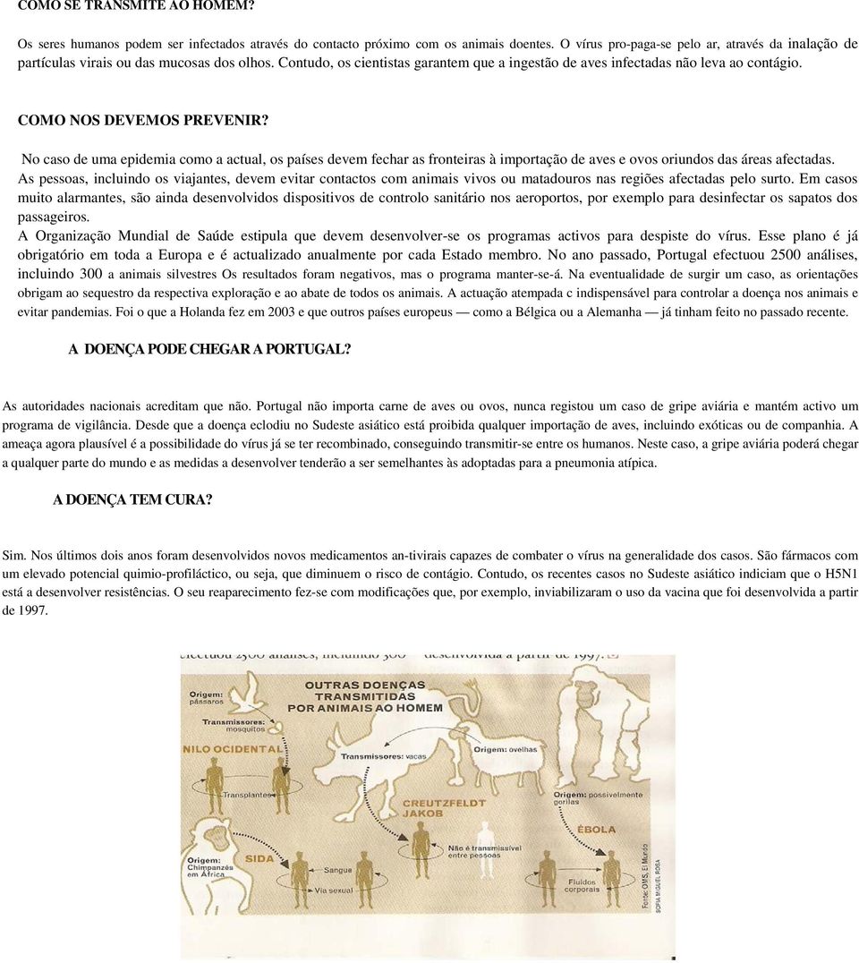 COMO NOS DEVEMOS PREVENIR? No caso de uma epidemia como a actual, os países devem fechar as fronteiras à importação de aves e ovos oriundos das áreas afectadas.