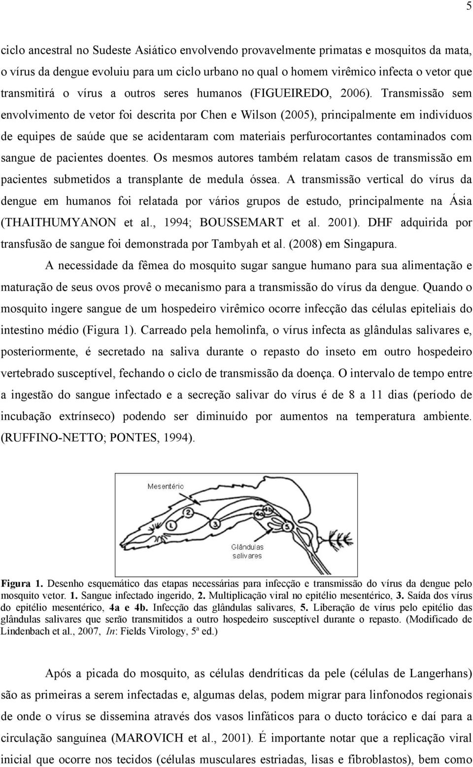 Transmissão sem envolvimento de vetor foi descrita por Chen e Wilson (2005), principalmente em indivíduos de equipes de saúde que se acidentaram com materiais perfurocortantes contaminados com sangue