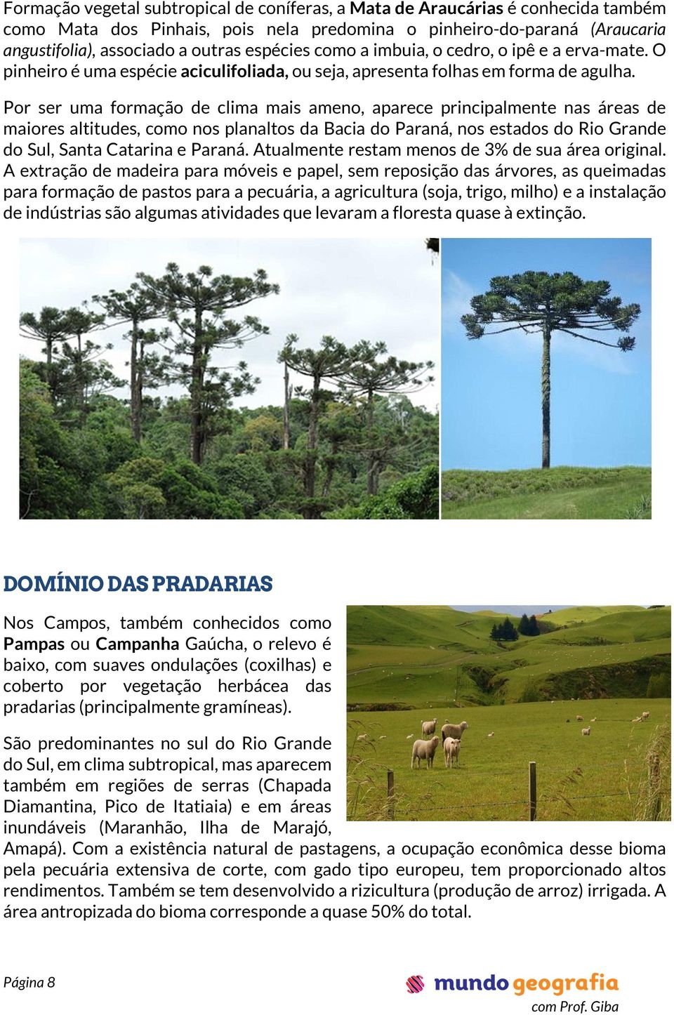 Por ser uma formação de clima mais ameno, aparece principalmente nas áreas de maiores altitudes, como nos planaltos da Bacia do Paraná, nos estados do Rio Grande do Sul, Santa Catarina e Paraná.