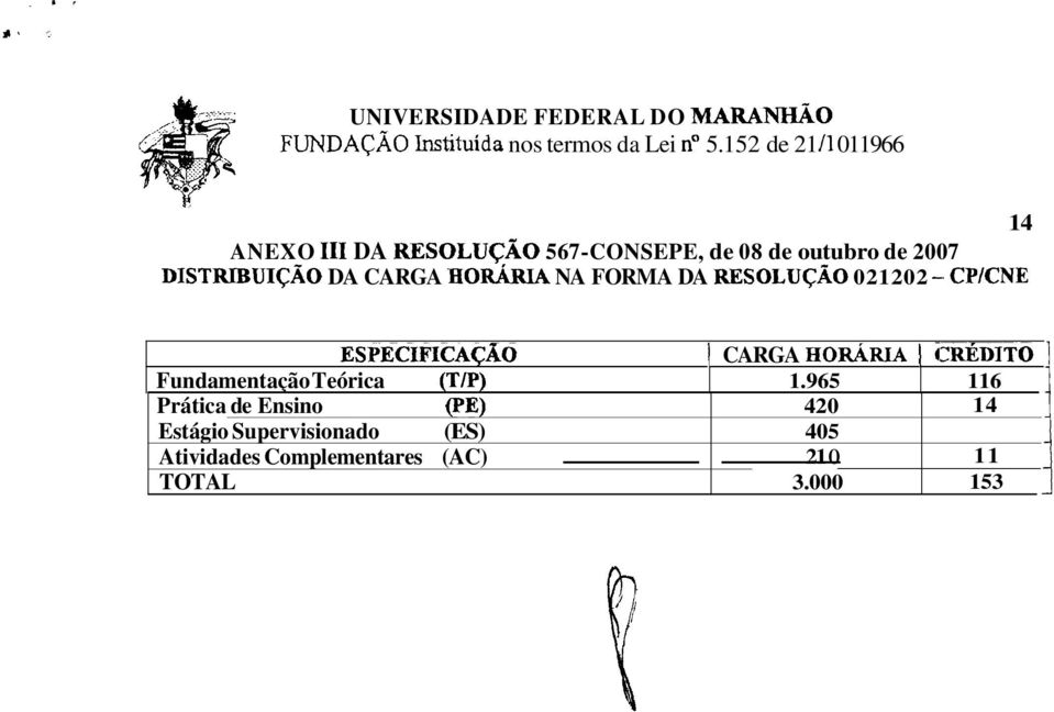 DA CARGA HoRÁRIA NA FORMA DA RESOLUÇÃO 021202 -.