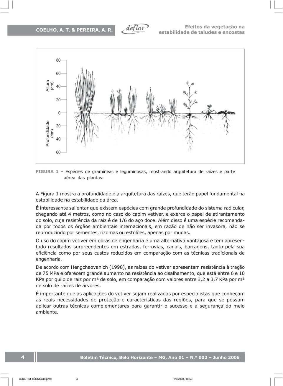 É interessante salientar que existem espécies com grande profundidade do sistema radicular, chegando até 4 metros, como no caso do capim vetiver, e exerce o papel de atirantamento do solo, cuja