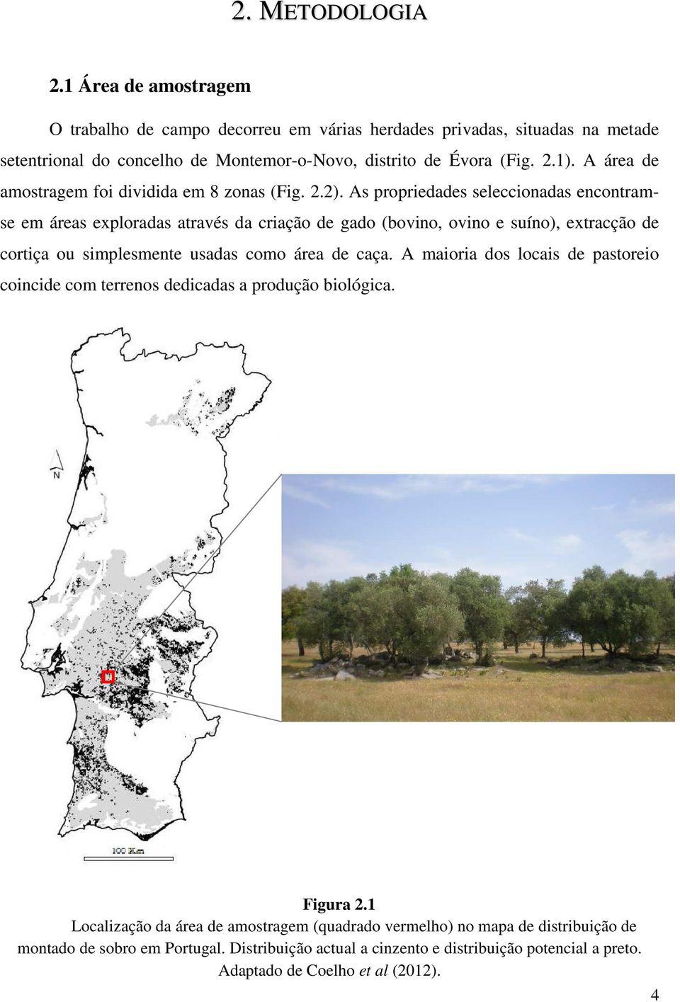 As propriedades seleccionadas encontramse em áreas exploradas através da criação de gado (bovino, ovino e suíno), extracção de cortiça ou simplesmente usadas como área de caça.