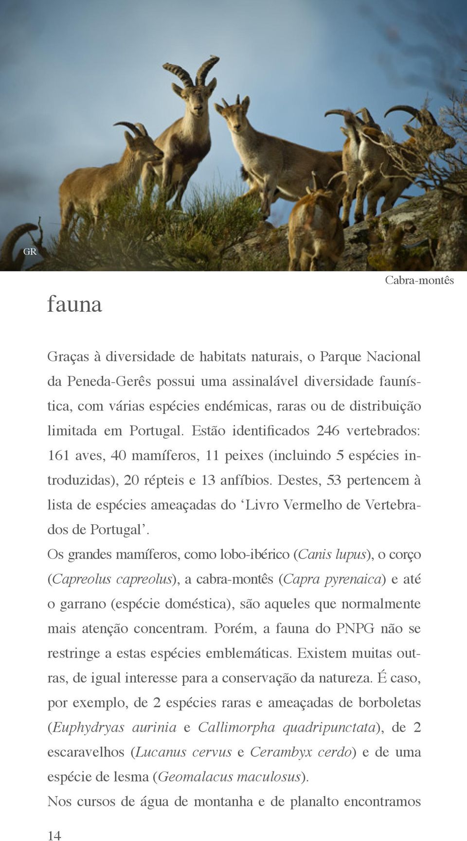 Destes, 53 pertencem à lista de espécies ameaçadas do Livro Vermelho de Vertebrados de Portugal.