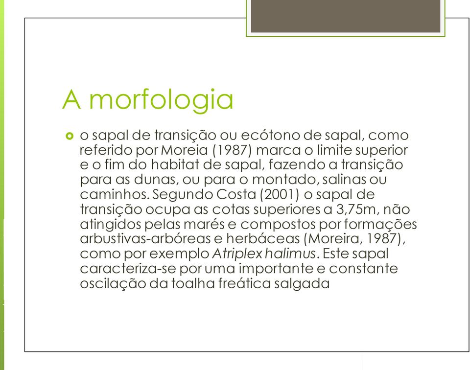 Segundo Costa (2001) o sapal de transição ocupa as cotas superiores a 3,75m, não atingidos pelas marés e compostos por formações