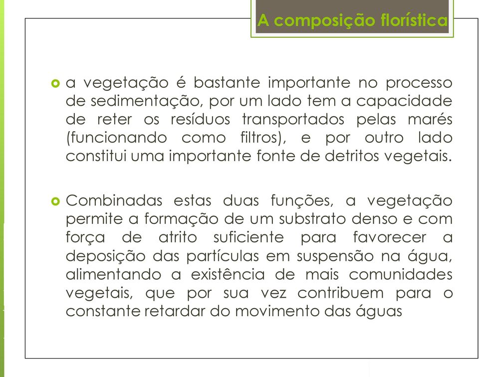 Combinadas estas duas funções, a vegetação permite a formação de um substrato denso e com força de atrito suficiente para favorecer a