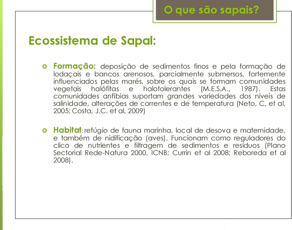 os quais se formam comunidades vegetais halófitas e halotolerantes (M.E.S.A., 1987).