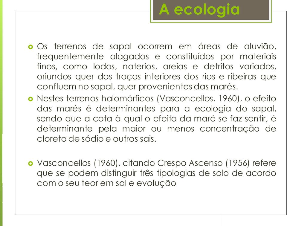 Nestes terrenos halomórficos (Vasconcellos, 1960), o efeito das marés é determinantes para a ecologia do sapal, sendo que a cota à qual o efeito da maré se faz sentir, é