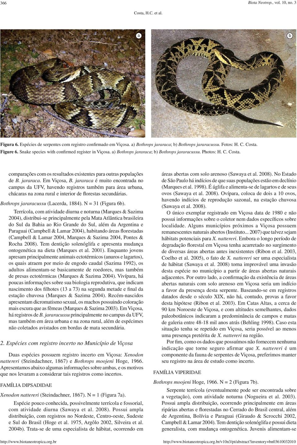 jararaca é muito encontrada no campus da UFV, havendo registros também para área urbana, chácaras na zona rural e interior de florestas secundárias. Bothrops jararacussu (Lacerda, 1884).