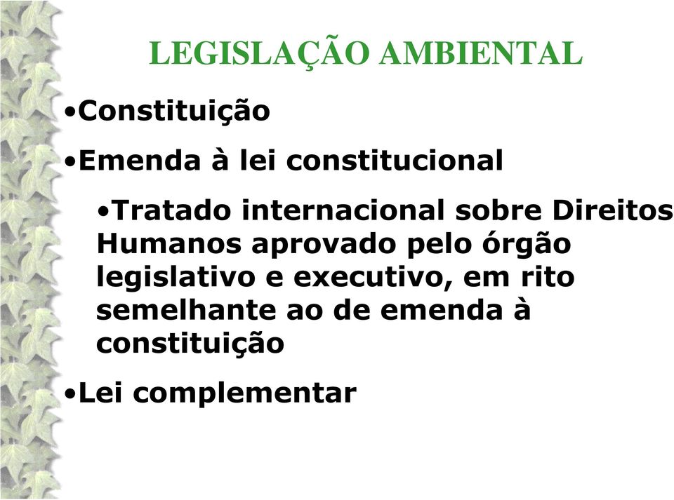 pelo órgão legislativo e executivo, em rito