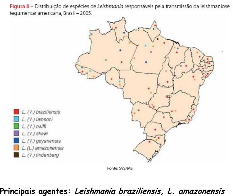 Leishmania