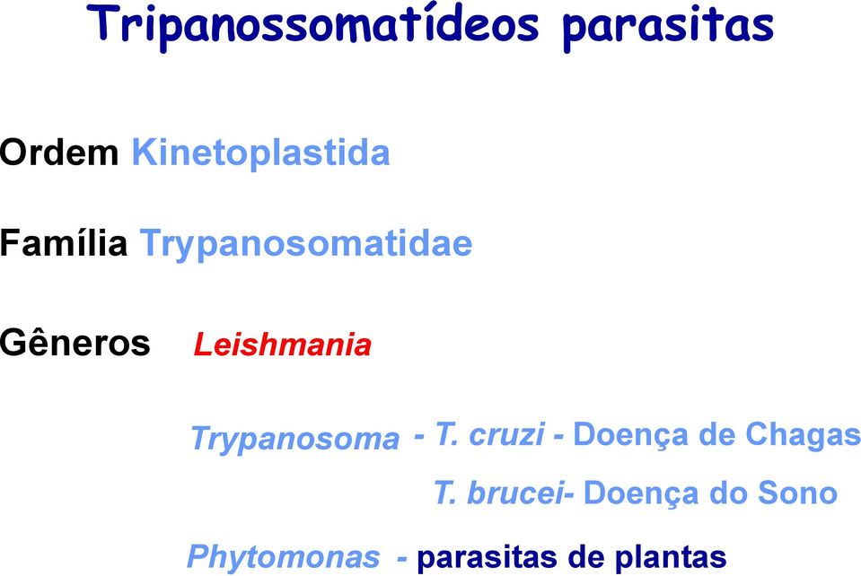 Leishmania Trypanosoma - T.
