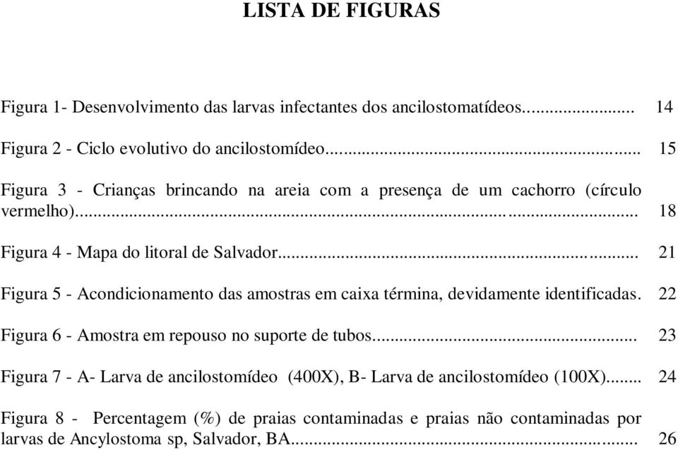 .. 21 Figura 5 - Acondicionamento das amostras em caixa términa, devidamente identificadas. 22 Figura 6 - Amostra em repouso no suporte de tubos.