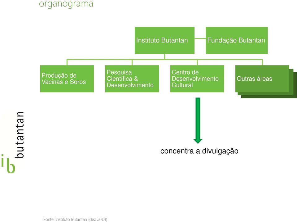 Desenvolvimento Centro de Desenvolvimento Cultural