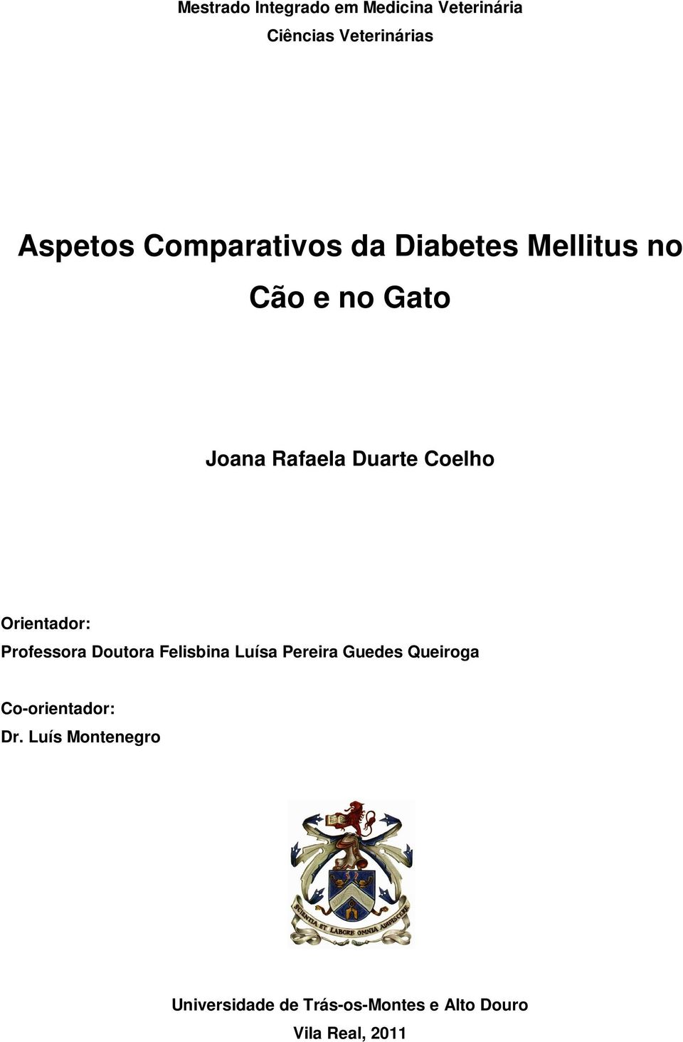 Orientador: Professora Doutora Felisbina Luísa Pereira Guedes Queiroga