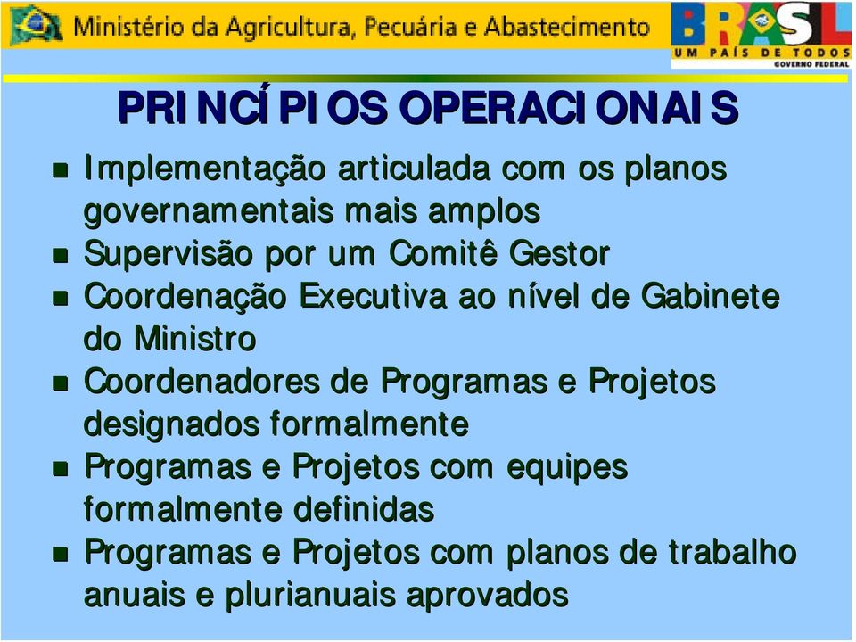 Ministro Coordenadores de Programas e Projetos designados formalmente Programas e Projetos