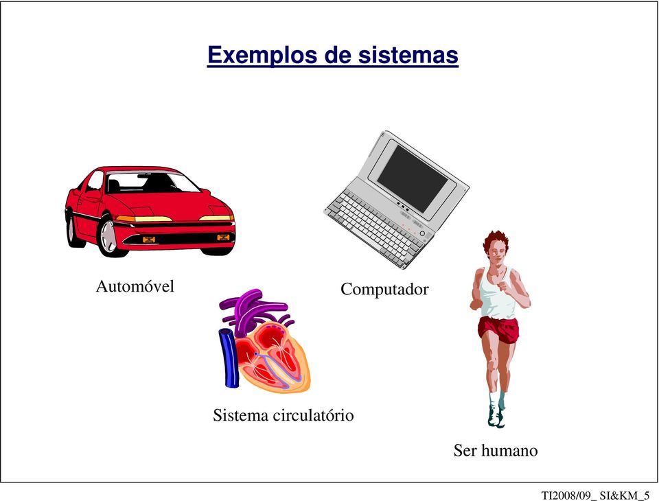 Sistema circulatório