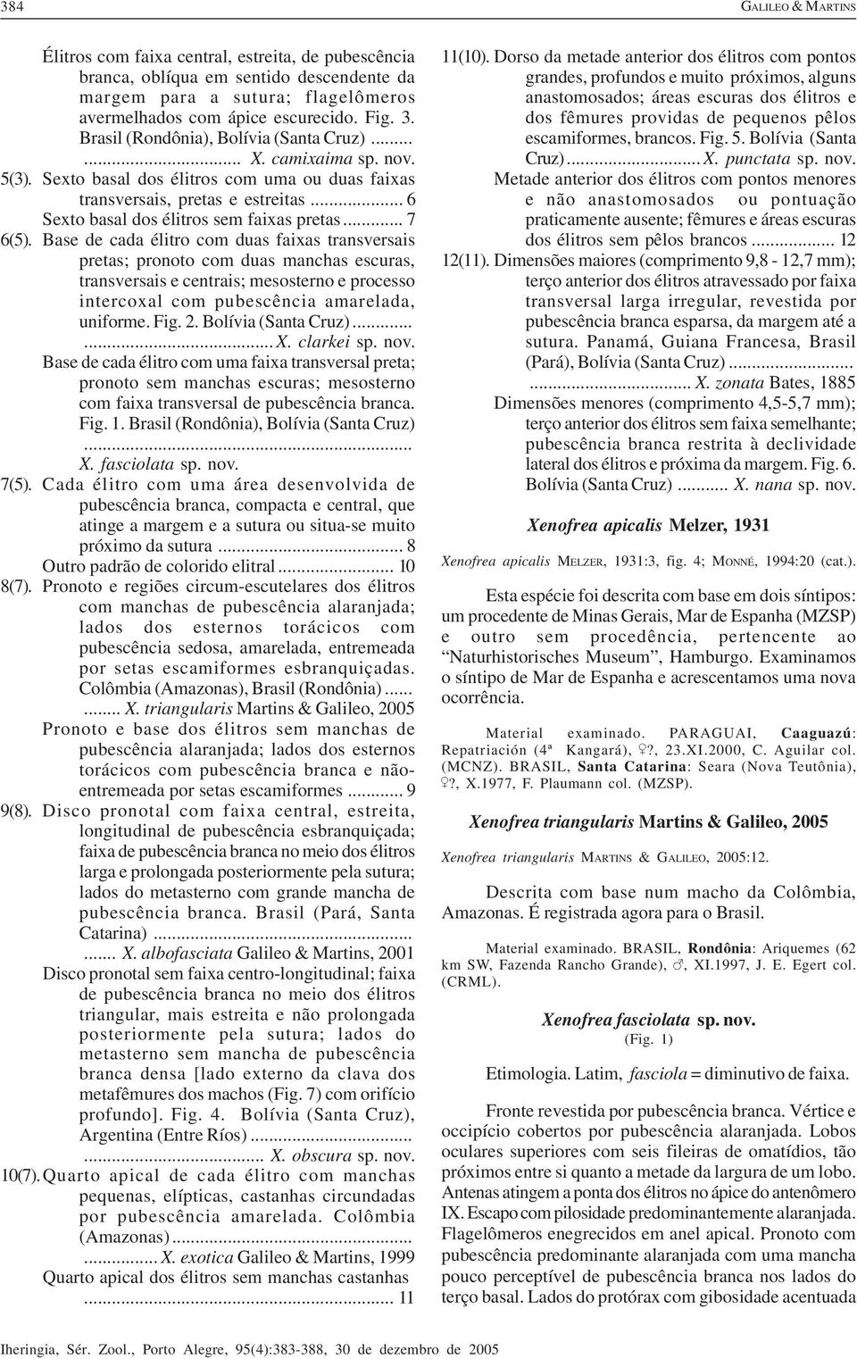 .. 7 6(5). Base de cada élitro com duas faixas transversais pretas; pronoto com duas manchas escuras, transversais e centrais; mesosterno e processo intercoxal com pubescência amarelada, uniforme.