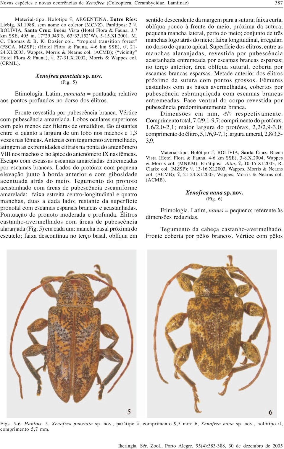 , tropical transition forest (FSCA, MZSP); (Hotel Flora & Fauna, 4-6 km SSE),, 21-24.XI.2003, Wappes, Morris & Nearns col. (ACMB); ( vicinity Hotel Flora & Fauna),, 27-31.X.2002, Morris & Wappes col.