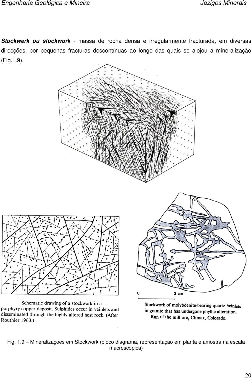 quais se alju a mineralizaçã (Fig.1.9). Fig. 1.