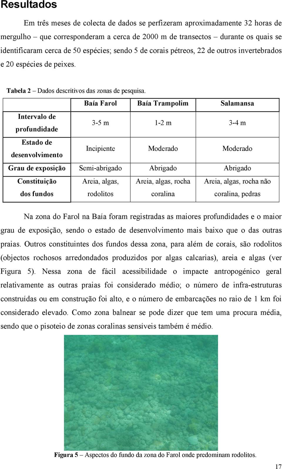 Baía Farol Baía Trampolim Salamansa Intervalo de profundidade 3-5 m 1-2 m 3-4 m Estado de desenvolvimento Incipiente Moderado Moderado Grau de exposição Semi-abrigado Abrigado Abrigado Constituição