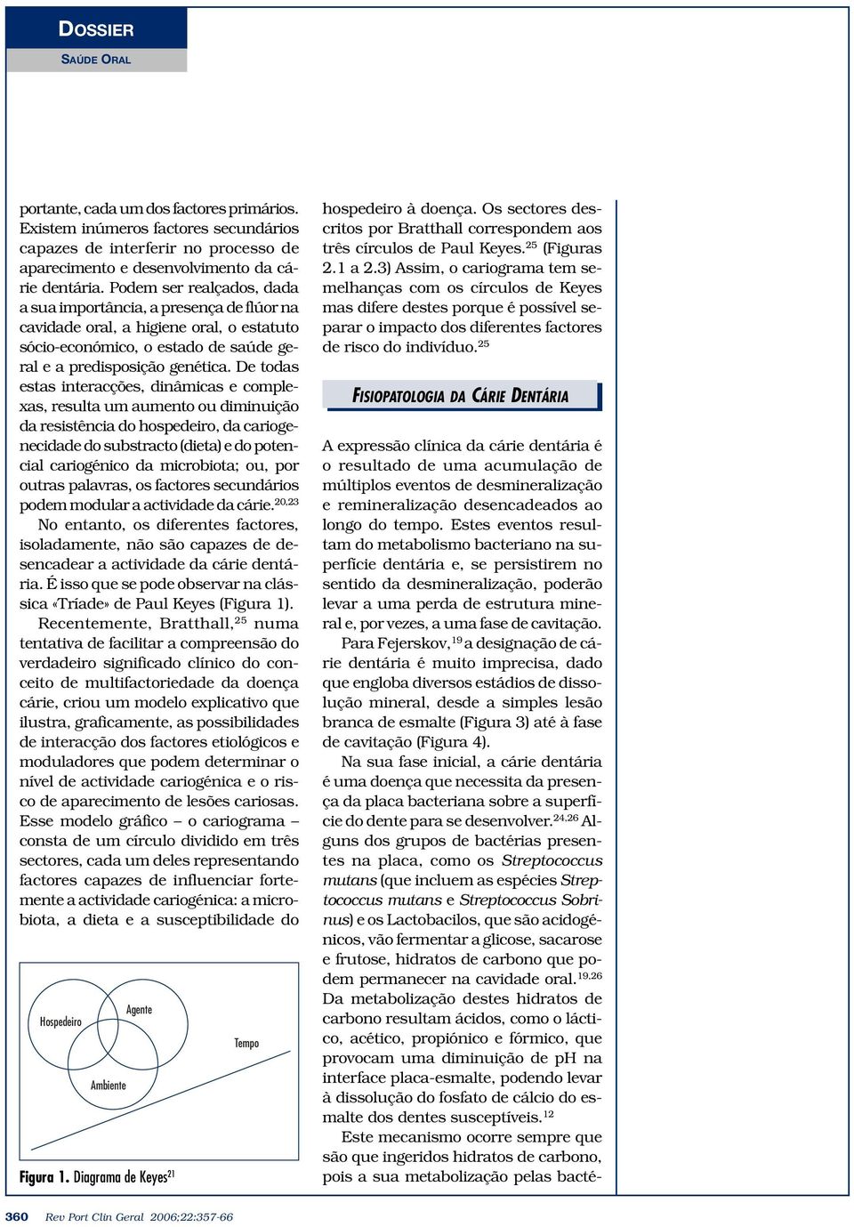 De todas estas interacções, dinâmicas e complexas, resulta um aumento ou diminuição da resistência do hospedeiro, da cariogenecidade do substracto (dieta) e do potencial cariogénico da microbiota;