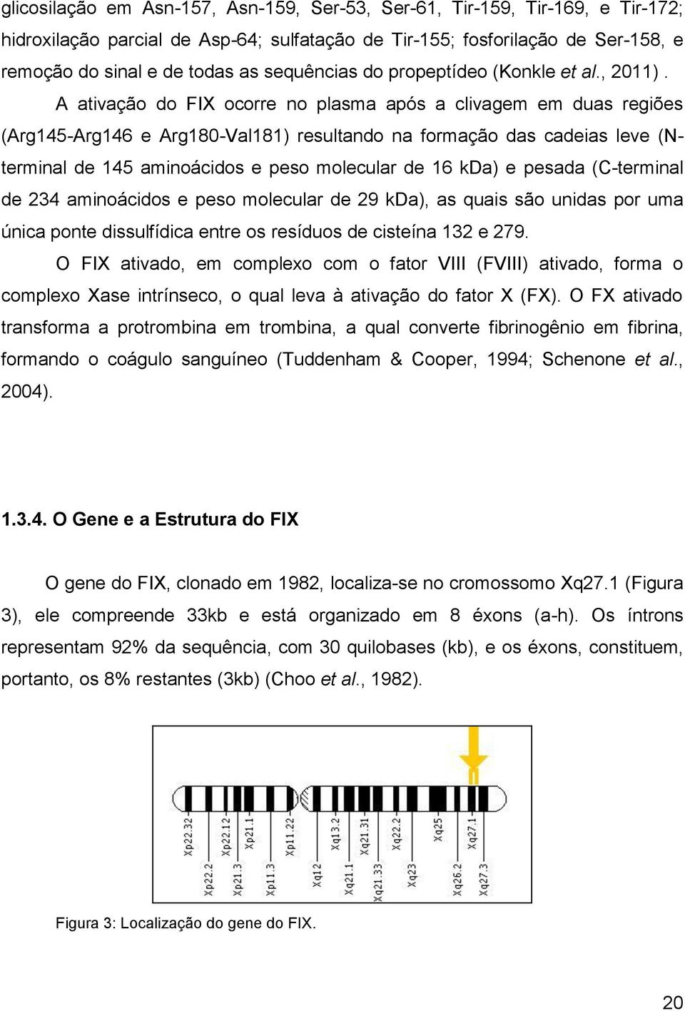 A ativação do FIX ocorre no plasma após a clivagem em duas regiões (Arg145-Arg146 e Arg180-Val181) resultando na formação das cadeias leve (Nterminal de 145 aminoácidos e peso molecular de 16 kda) e