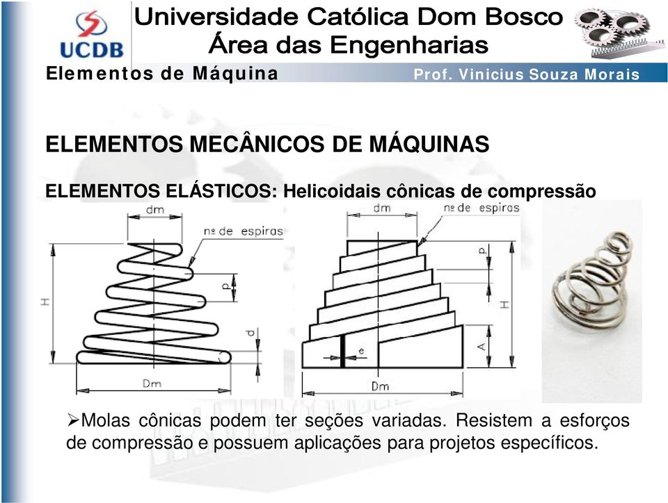 podem ter seções variadas.