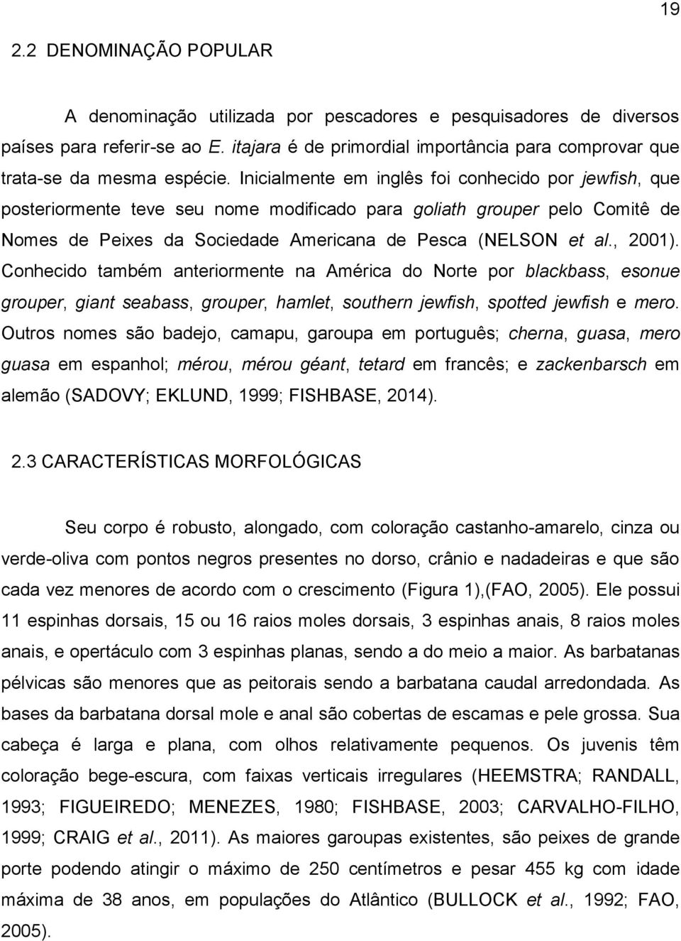 Inicialmente em inglês foi conhecido por jewfish, que posteriormente teve seu nome modificado para goliath grouper pelo Comitê de Nomes de Peixes da Sociedade Americana de Pesca (NELSON et al., 2001).