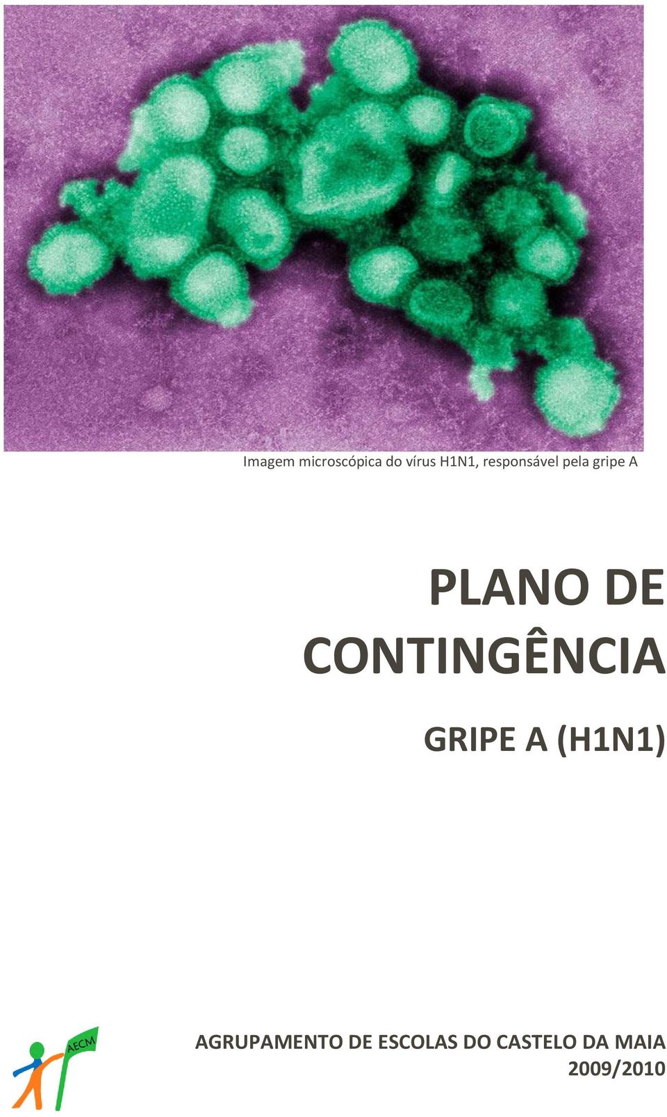 CONTINGÊNCIA GRIPE A (H1N1)