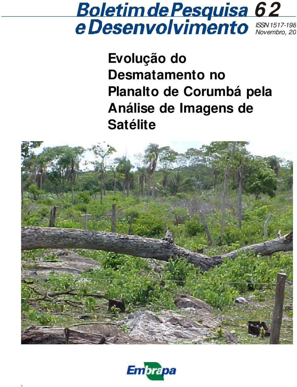 Desmatamento no Planalto de Corumbá