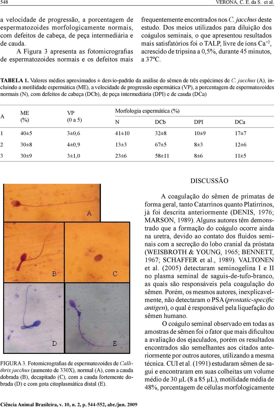 Dos meios utilizados para diluição dos coágulos seminais, o que apresentou resultados mais satisfatórios foi o TALP, livre de íons Ca +2, acrescido de tripsina a 0,5%, durante 45 minutos, a 37ºC.