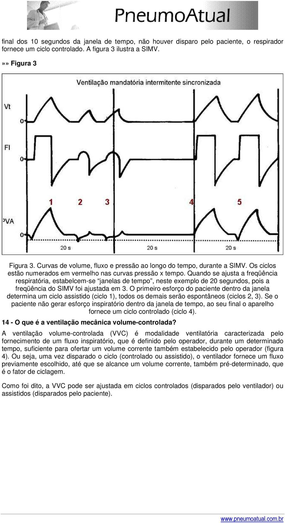 Quando se ajusta a freqüência respiratória, estabelcem-se janelas de tempo, neste exemplo de 20 segundos, pois a freqüência do SIMV foi ajustada em 3.