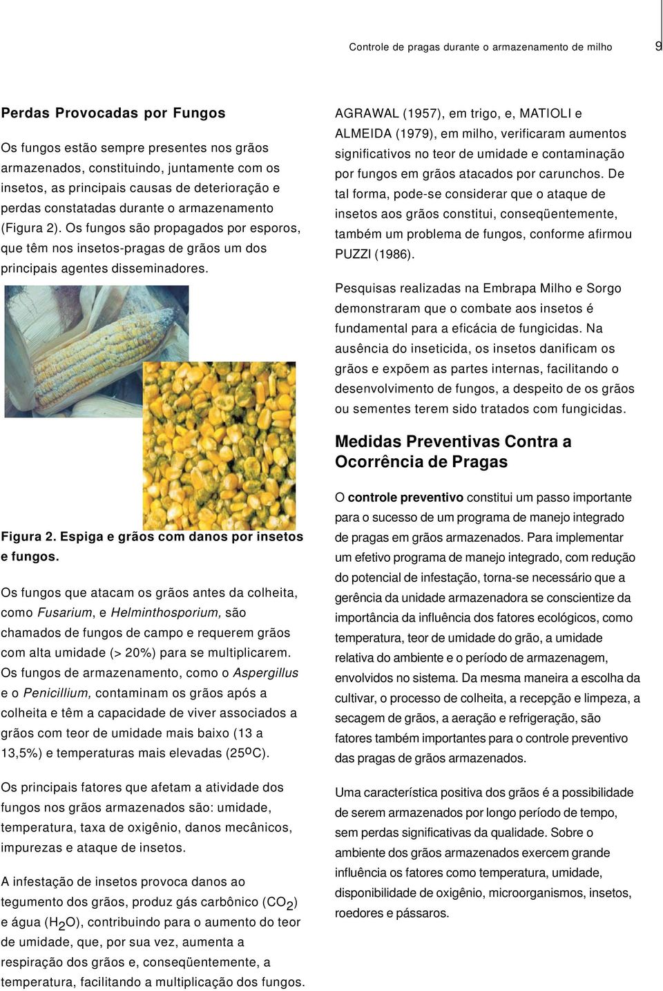 AGRAWAL (1957), em trigo, e, MATIOLI e ALMEIDA (1979), em milho, verificaram aumentos significativos no teor de umidade e contaminação por fungos em grãos atacados por carunchos.