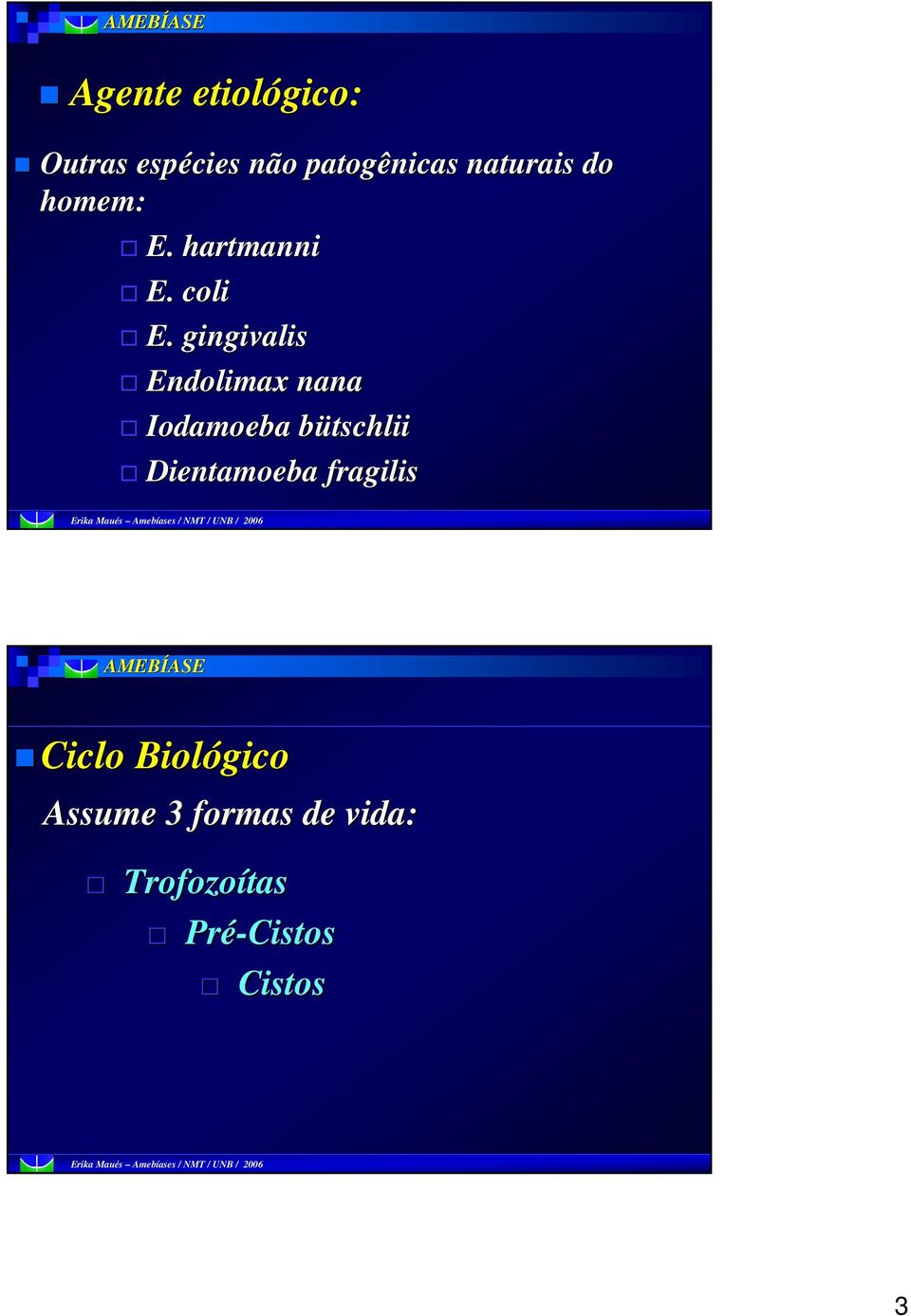 gingivalis Endolimax nana Iodamoeba bütschlii Dientamoeba