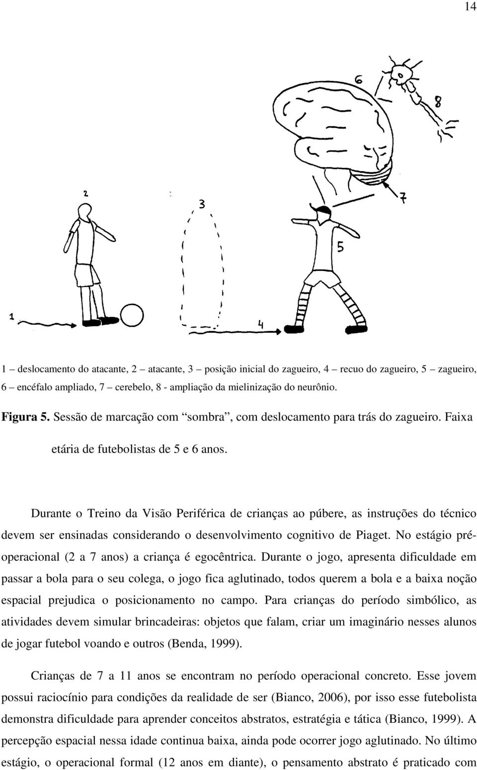 Durante o Treino da Visão Periférica de crianças ao púbere, as instruções do técnico devem ser ensinadas considerando o desenvolvimento cognitivo de Piaget.