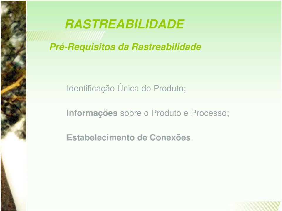 Informações sobre o Produto e