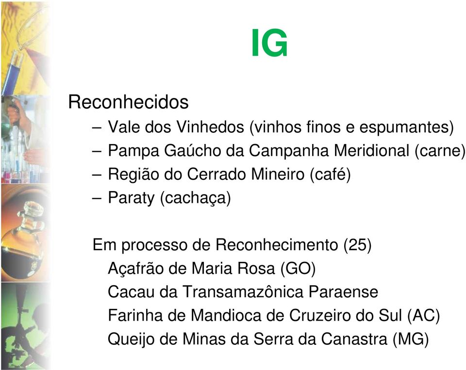 processo de Reconhecimento (25) Açafrão de Maria Rosa (GO) Cacau da Transamazônica