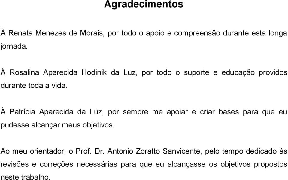 À Patrícia Aparecida da Luz, por sempre me apoiar e criar bases para que eu pudesse alcançar meus objetivos.