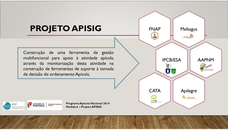 atividade na construção de ferramentas de suporte à tomada de decisão do