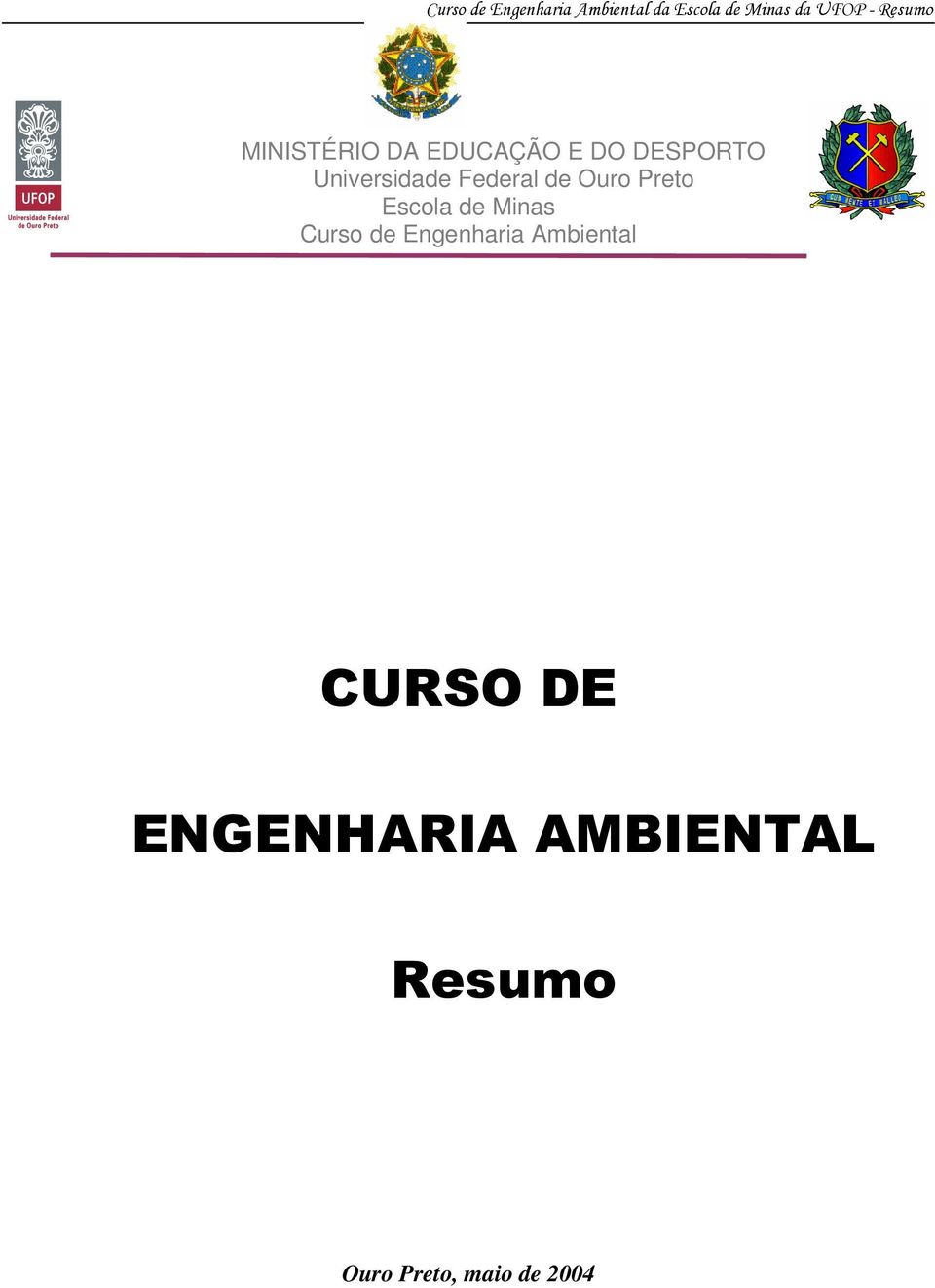 Minas Curso de Engenharia Ambiental CURSO DE